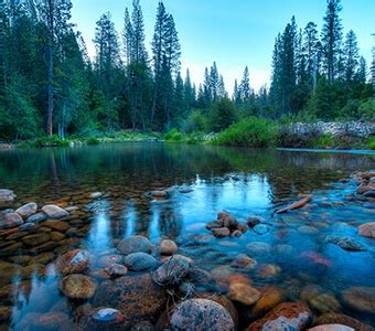 Wawona Campground | Discover Yosemite National Park