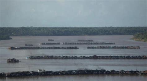Qual Atividade Ilegal Tem Sido Praticada Nos Rios Da Amazônia