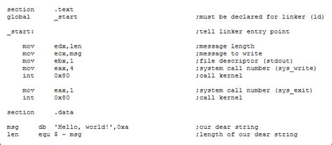 An Introduction To Assembly Language By Jessie White Medium