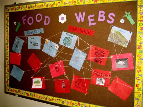 High School Science Bulletin Board Ideas