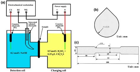 Hydrogen Permeation Test Device A And Shape And Dimension Of