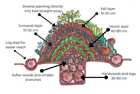 How To Build Hugelkultur Beds And Why You Need Them