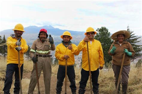 Brigada Forestal De Toluca En Alerta Para Proteger El Medio Ambiente