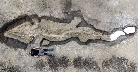 Scientists unearth a 32 foot long prehistoric sea dragon fossil in ...