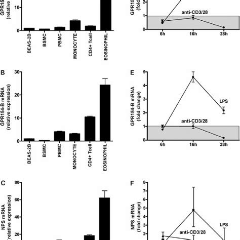 Quantitative Real Time Rt Pcr Analysis Of Relative Gpr154 A A