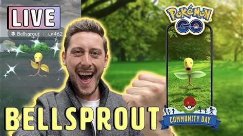 Live Shiny Bellsprout X Stardust Pokemon Go Community Day Youtube