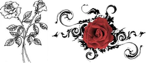 41+ Best Tribal rose tattoo meaning ideas