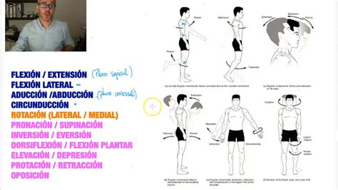 ArticulaciÓn 6 Movimientos Anatómicos Youtube