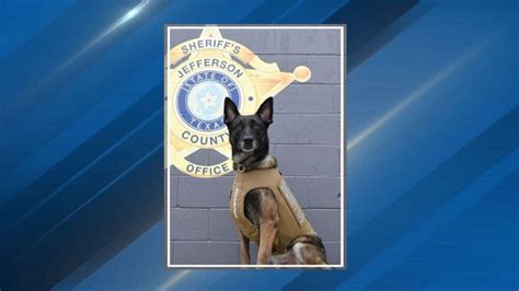 Jefferson County Sheriffs Office K9 Hunk Has Received Donation Of Body