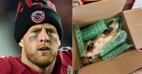 Cardinals’ J.J. Watt Receives Strange Retirement Gift From Fan - Game 7