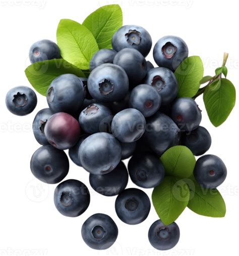 Ai Generated Blueberries Png Image 36891231 Png