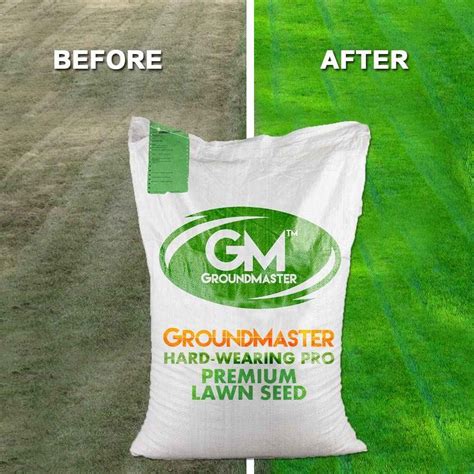 Best Grass Seed In 2025 Uk Reviews Garden Yard