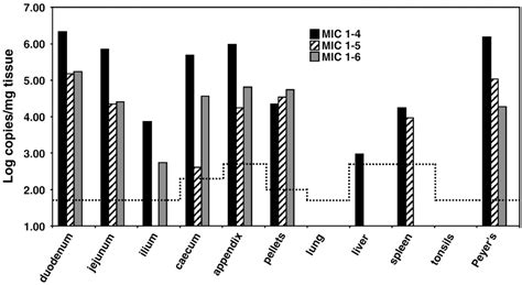 Figure From Identification And Partial Characterisation Of A New