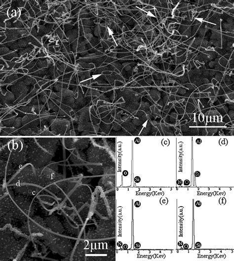 A An Overall Sem Image Of The As Synthesized Aln Nanobelts And