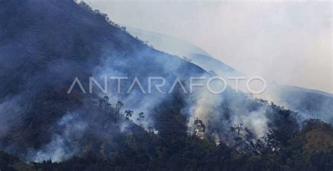 Kebakaran Sumbing Meluas Antara Foto