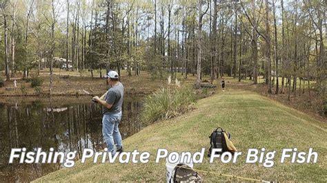 Fishing A Private Pond For Big Fish Bass Manager The Best Bass