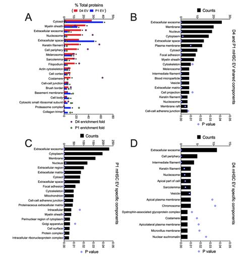 Cellular Component Analysis Of Proteins In Evs From D4 Andor P1 Mhsc