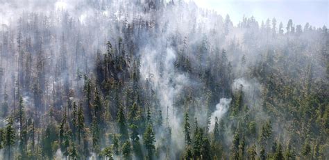 Firefighters Struggle To Contain Beachie Creek Fire Klcc