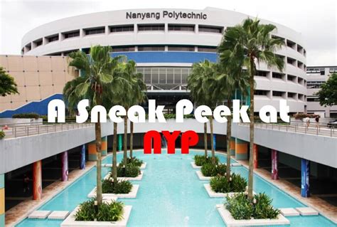 5 Fascinating Things Only NYP Graduates And Students Know To Be True ...