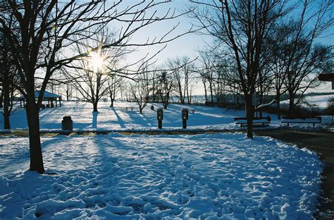 snow : CUTE + DELICIOUS