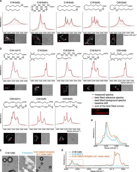 Spectra Of Saturated Fatty Acids Are Affected By The Surrounding Lipid