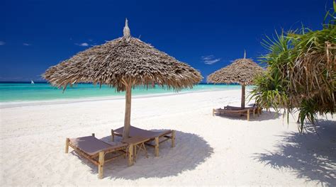 10 Best Tanzania All Inclusive Resorts & Hotels for 2023 | Expedia