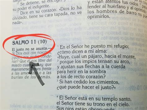 Por qué los salmos tienen 2 numeros Catecismo y Evangelización