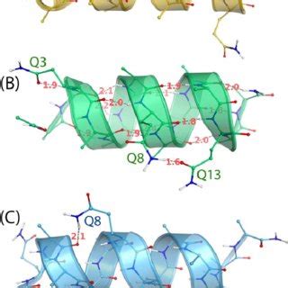 Native And Native Like Conformations Of Chignolin CLN025 And Trp Cage