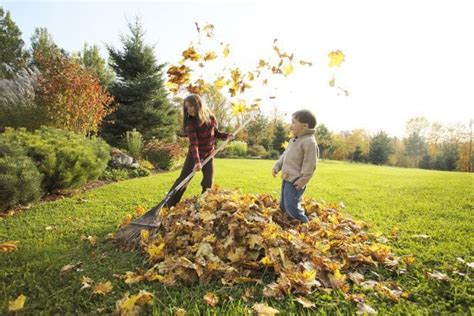 Comment Faire Un Compost Avec Des Feuilles Mortes