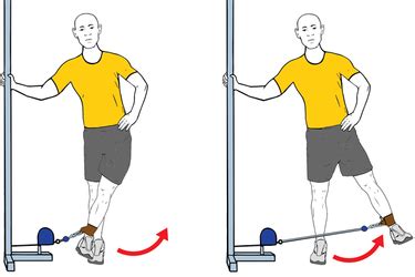 Standing Cable Hip Abduction Exercises Workouts And Routines