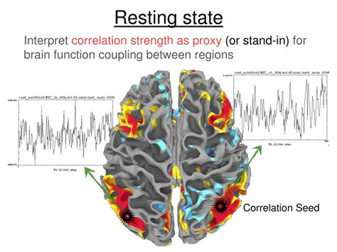 Ppt Resting State Fmri Analysis Methods And Analysis Problems