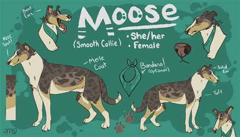 Moose Sona Reference 2021 By Mostlymoose On Deviantart