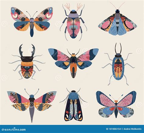 Vector Set Of Colorful Insects With Hand Drawn Abstract Texture Beetle