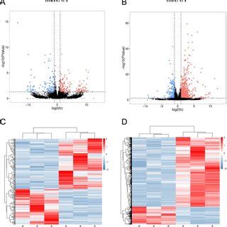 The Differential Expression Of Randomly Selected Lncrnas A And