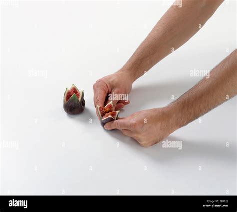 sections  res stock photography  images alamy