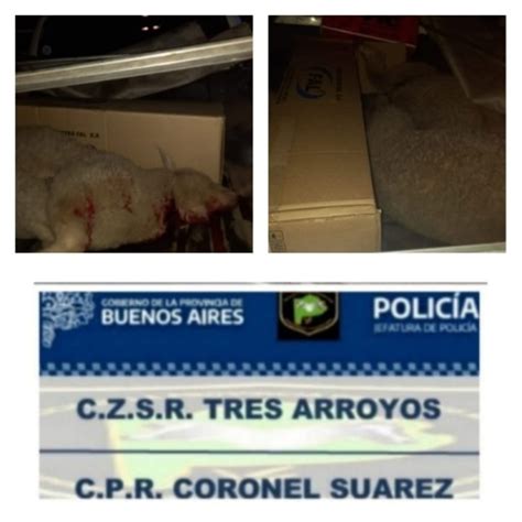 El CPR local aprehendió a dos suarenses por robar tres corderos y