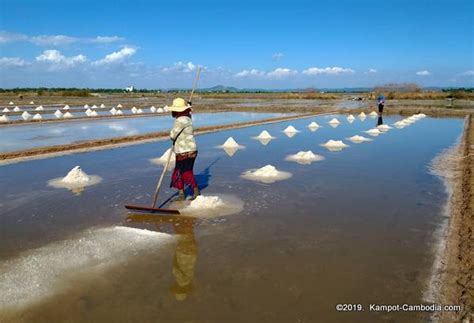 The Salt Fields of Kampot, Cambodia.