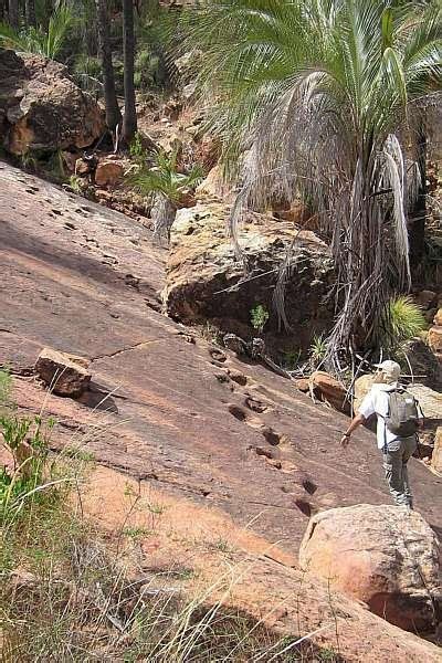 Encontradas as pegadas de dinossauro mais antigas da América do Sul