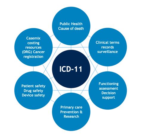 World Health Organization Functions