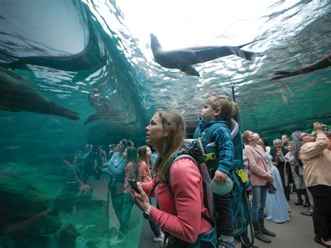 Galápagos Islands At The Houston Zoo First Of Its Kind Exhibit Debuts