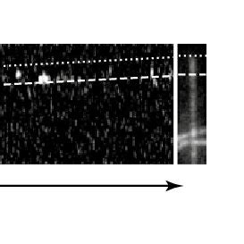 Single Molecule Analysis Of Tips A Kymograph Of Binding Events Of