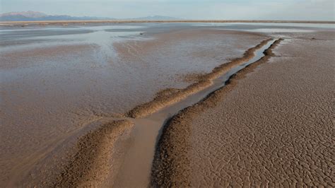 Restoring The Colorado River Estuary