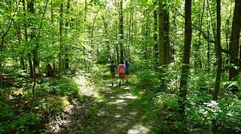 9 Reasons You Should Be Hiking | Adventures in New York