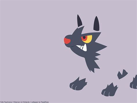 Houndour And Poochyena By Gasha Hd Wallpaper Pxfuel