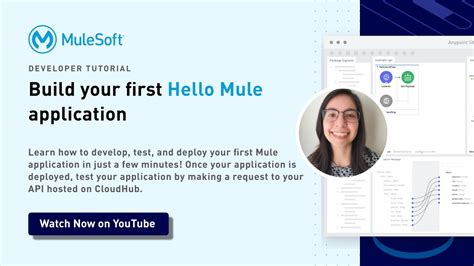 Build Your First Hello Mule Application Getting Started With Mulesoft