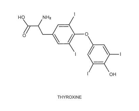 Levothyroxine Structure