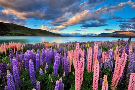 New Zealand Seasons New Zealand Travel Blog