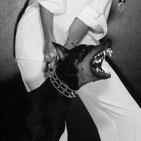 Pin on Бич герл детка