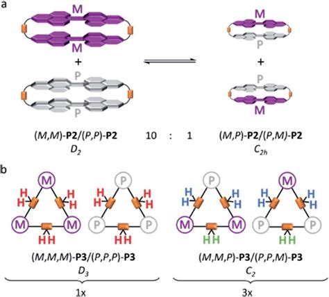 Schematic Representation Of Conformational Equilibrium Between The Download Scientific Diagram