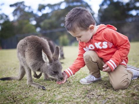 Symbio Wildlife Park | NSW Holidays & Accommodation, Things to Do ...